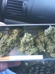 slotu's profile picture